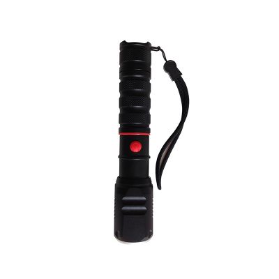 FiNDT-365/SS Portable NDT UV LED Torch